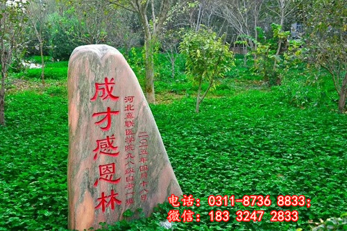 石家莊冀聯醫學院