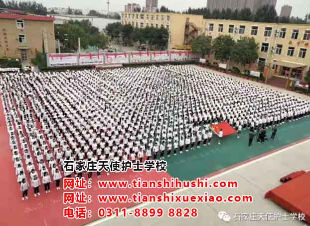 如何從北站坐公交車(chē)到石家莊天使護(hù)士學(xué)校？