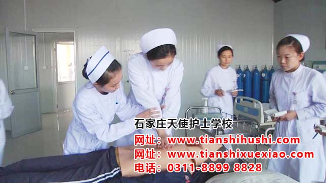 石家莊天使護(hù)士學(xué)校哪個(gè)地區(qū)的學(xué)生多