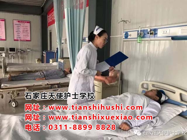 石家莊天使護(hù)士學(xué)校有哪些專業(yè)