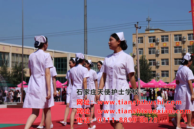 石家莊市天使護士學校分數線
