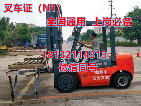 石家莊考叉車證在什么地方報名辦理