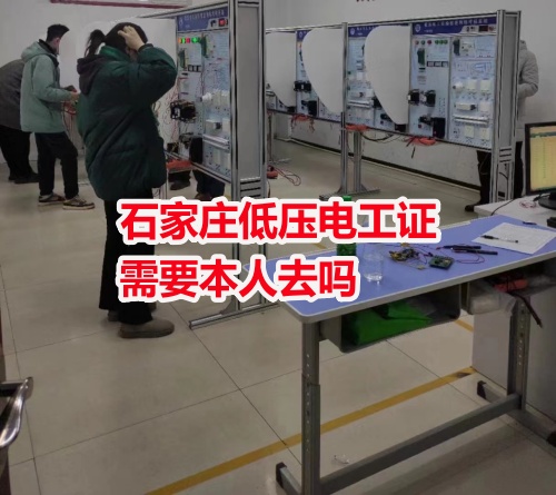 2025年石家莊電工證好考嗎？